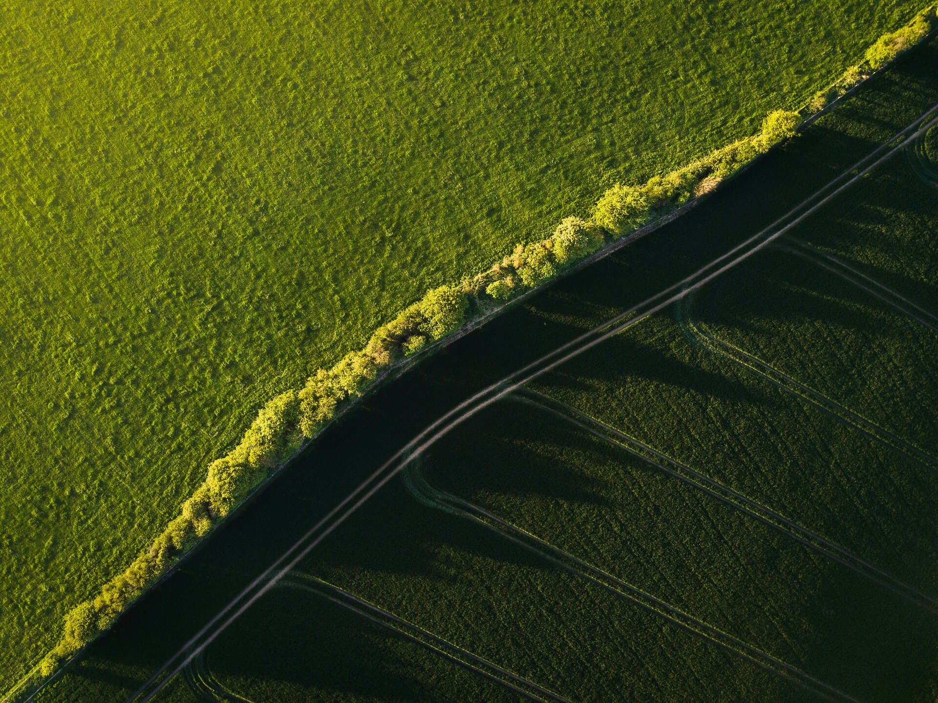 Ivan bandura g 1 FXigeGc unsplash (1) (1)
